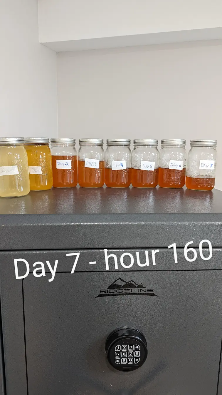 urine levels during a dry fast 160 hours or 7 days