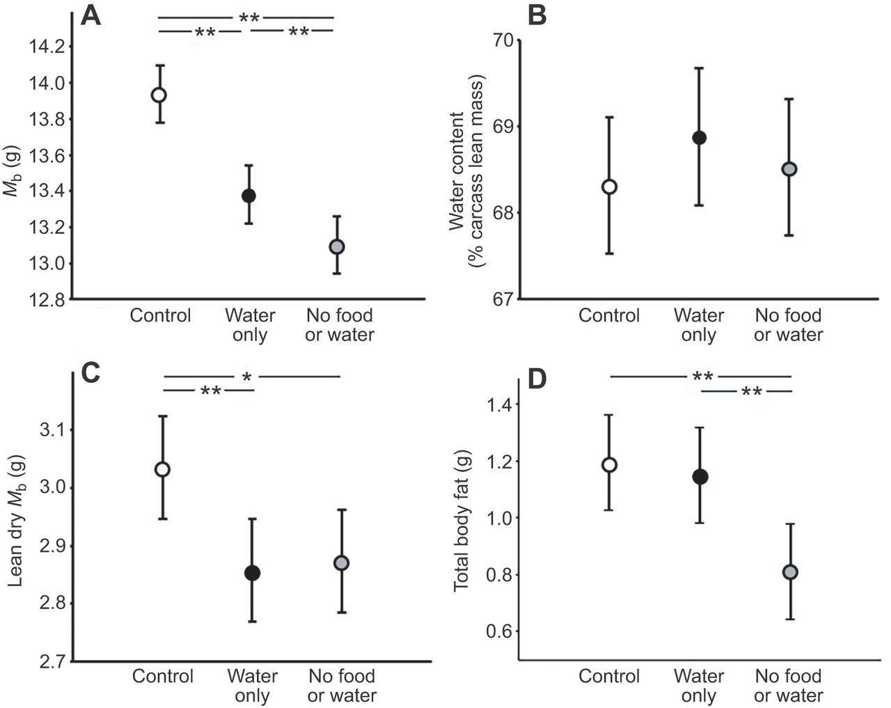 metabolic water creation in zebra finches fat burn