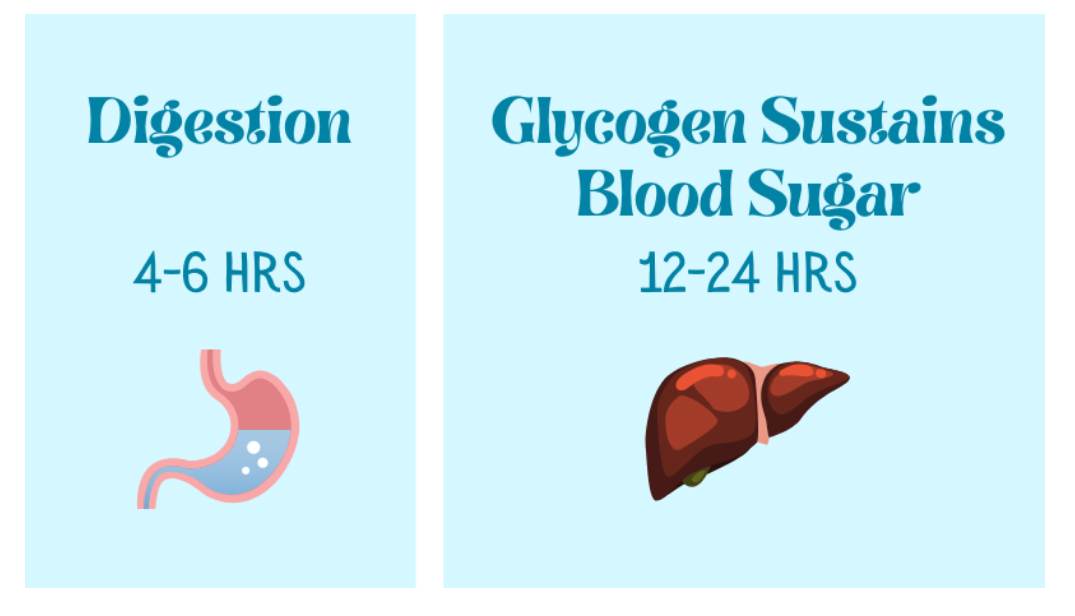 post-absorptive phase of dry fasting