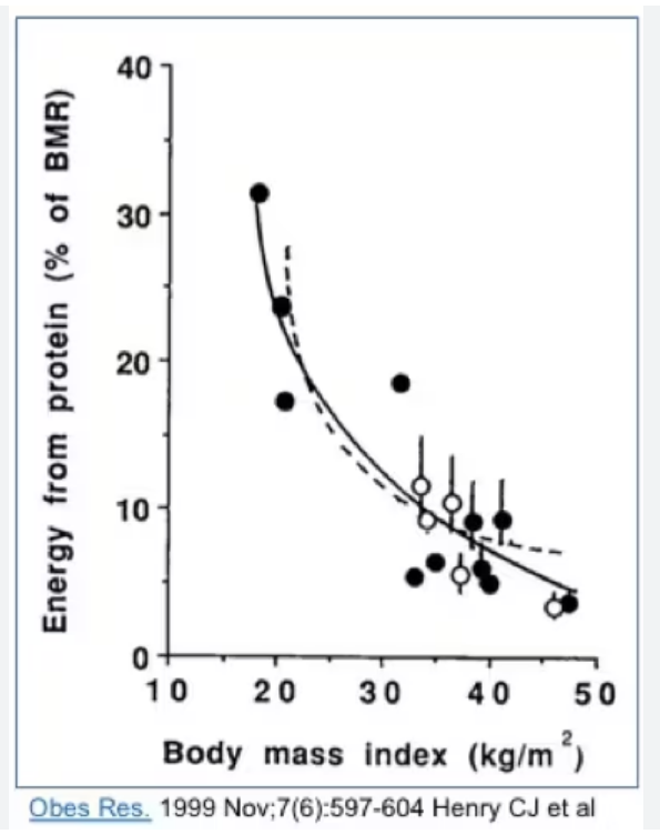 does fasting burn muscle?