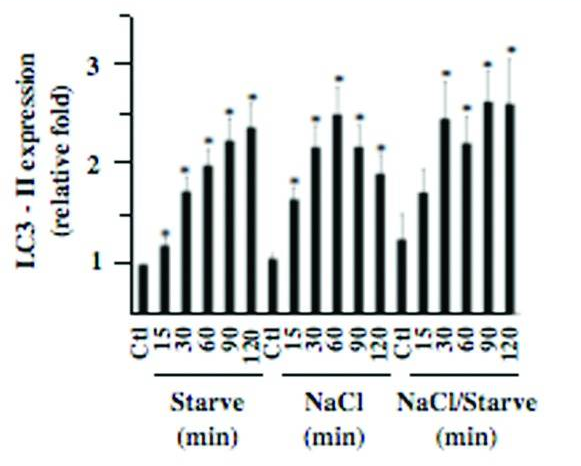 The Science Behind How Dry Fasting Reboots Your Autophagy and Fixes Your Cellular Health