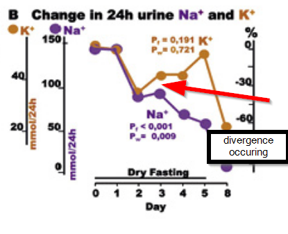 electrolyte levels on a dry fast