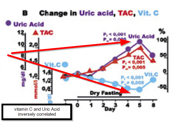 The Science Behind How a 5-Day Dry Fast is Safe for Healthy Individuals